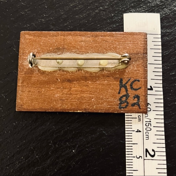 Vintage National Wildlife Conservation Cardinal Stamp Brooch Stamp Wooden Back - Picture 9 of 10